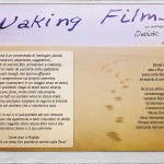 Volantino Waking Films